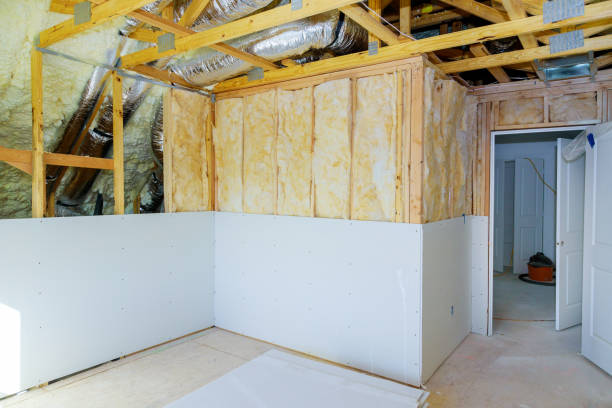 Best Insulation Repair Services  in Gregory, TX