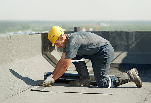 Best Attic Insulation Near Me  in Gregory, TX