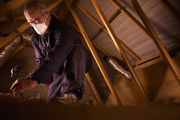 Best Attic Insulation Installation  in Gregory, TX