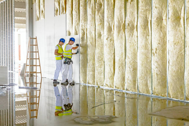 Best Insulation Removal  in Gregory, TX